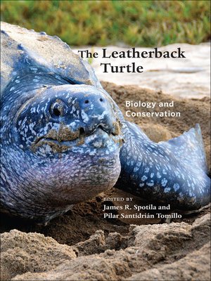 cover image of The Leatherback Turtle